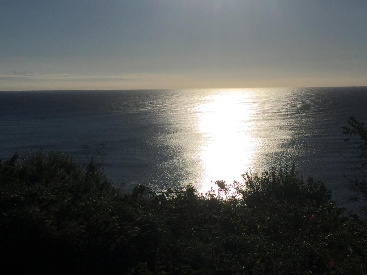 Bed and Breakfast Fernleigh Robin Hood's Bay Esterno foto